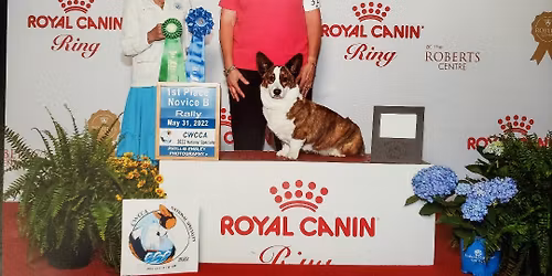 AKC Rally Signs and Skills Workshop
