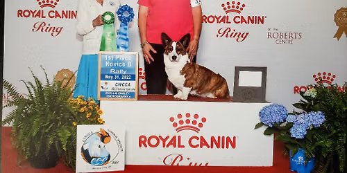 AKC Rally Signs and Skills Workshop