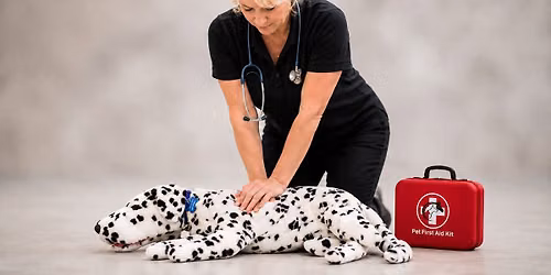 Pet CPR & First Aid Certification Class Alliquippa, PA