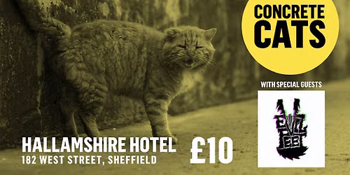 Concrete Cats at The Hallamshire