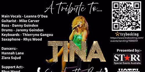 A Tribute To Tina