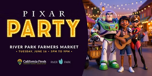 Pixar Party