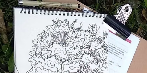 Copy of Sketch Walk