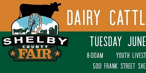 Dairy Cattle Show