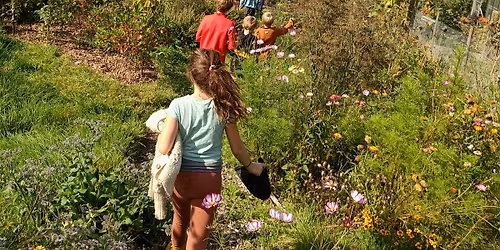 Zomer-Dag-Kamp 8-12jarige 13-17\/07