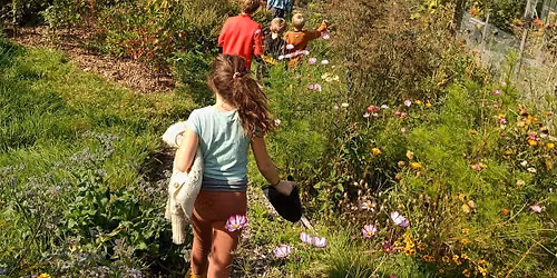 Zomer-Dag-Kamp 8-12jarige 13-17\/07