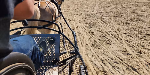 CSHP June Horse Driving Trials