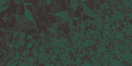 Basia Bulat in Shawinigan