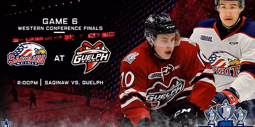 Saginaw Spirit vs. Guelph Storm