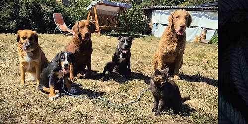 \u0160t\u011b\u0148\u00e1tkovsk\u00e1 socializa\u010dka Praha- Hrad\u010dany+ metro