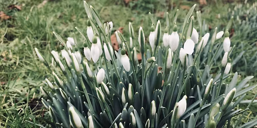 Spring time! Woodland Playgroup -Railway land, Lewes