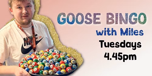 Goose Bingo - with Miles