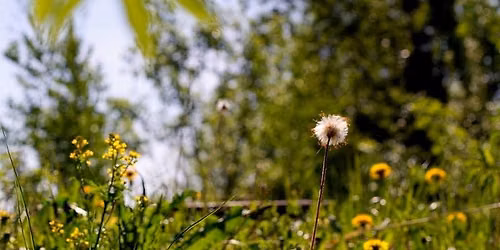 Summer Days on the Farm at the Benson-Hammond House- LIVE Music!