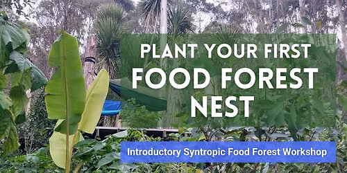 \ud83c\udf3f Introductory Food Forest W\u0101nanga - Your First Food Forest Nest \ud83c\udf3f