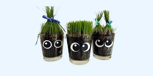 \ud83c\udf31Chia Pets - For kids in grades 3-5\ud83c\udf31