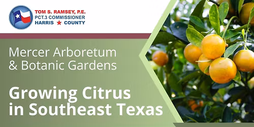 Lunch & Learn - 'Against All Odds: Growing Citrus in Southeast Texas"
