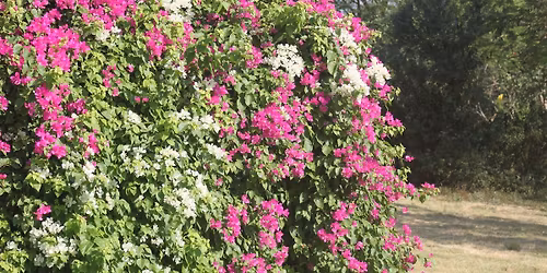 New Year Eve at Park View Islamabad