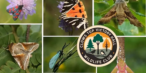 Wildlife Club