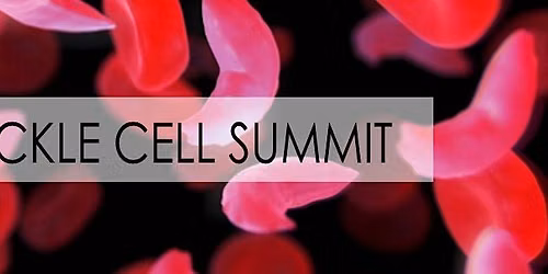 Own Your Journey Sickle Cell Summit