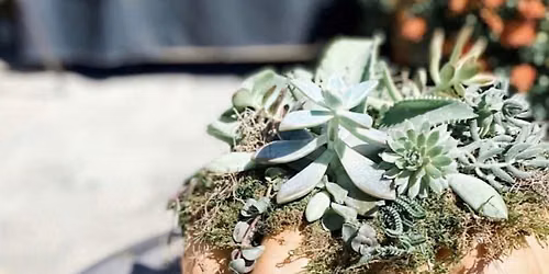 Succulent Pumpkin Workshop