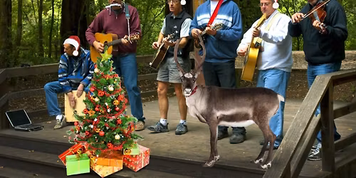 A Virtual Campfire Christmas.