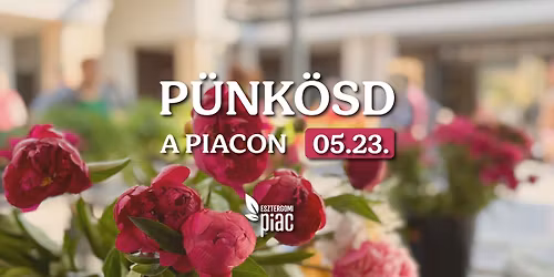 P\u00fcnk\u00f6sd a piacon