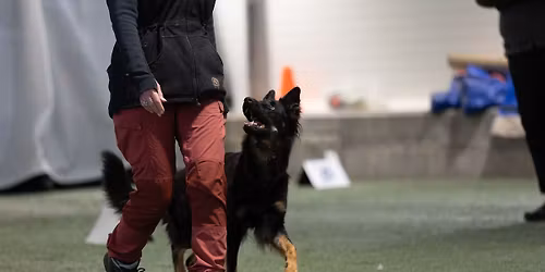 RALLYSTEVNE 30-31 MAI 