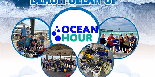 Eco-Gives Back fall beach clean-up
