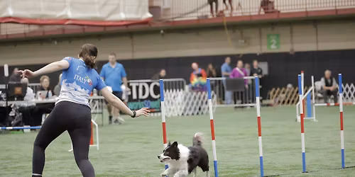 UKI Agility Trial! 