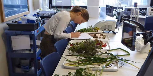 Botany Evening Classes - Canterbury