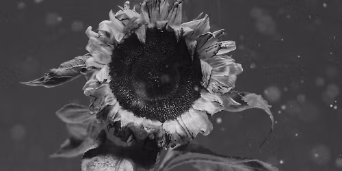 Ralph Kaminski in Olsztyn