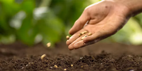 Roots of Discovery: Living with the Earth \ud83c\udf0e