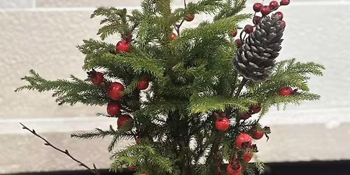 Plant Bingo Christmas Edition