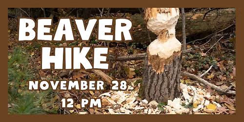 Beaver Hike