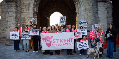 Canterbury Says 'No' To Horse Drawn Carriage Rides!