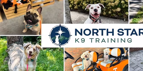 Pack Walk - Suttree Landing\/Patio sit out