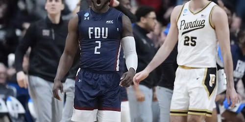 Fairleigh Dickinson Knights at Purdue Boilermakers Womens Basketball