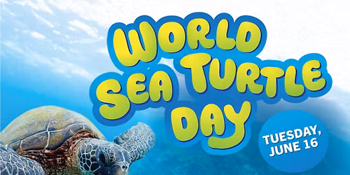 World Sea Turtle Day