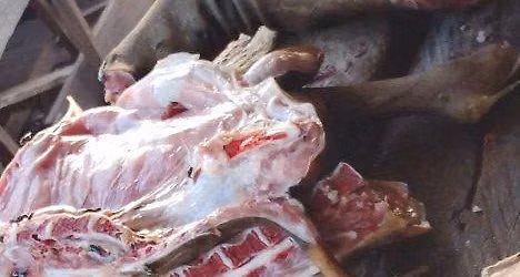 Meat business 