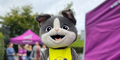 Cats Protection Summer Open Day