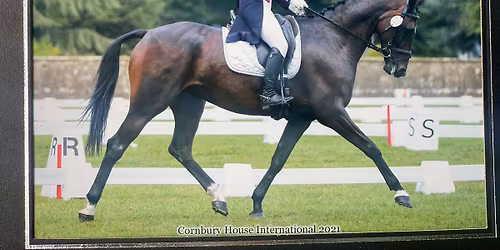 Dressage Clinics with Saffron Cresswell