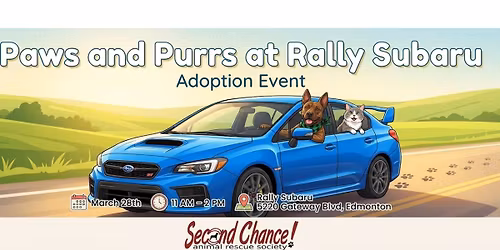 Paws & Purrs at Rally Subaru Adoption Event