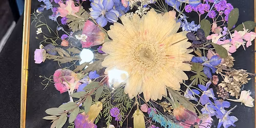 Pressed Flower Frames at Wandering Roots 5\/1\/26