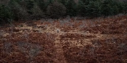 Atelier Photo \u00ab Le r\u00e9cit photographique \u00bb 7 et 8 f\u00e9vrier 2026