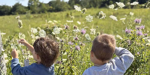Nature Tales & Trails