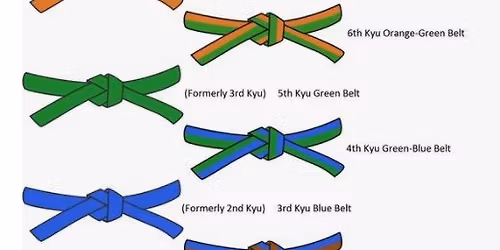 The Studio Judo grading