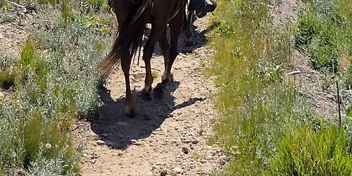 I.S.T.R.I Annual Club Meeting