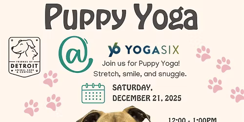 Puppy Yoga at YogaSix Royal Oak Supporting the Friends of DACC