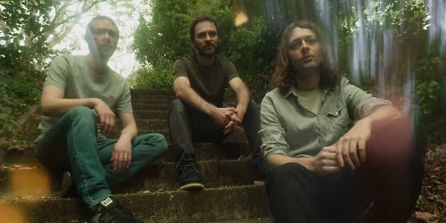 Mammal Hands in Tolhuistuin