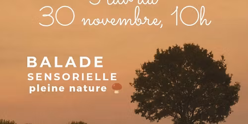 balade sensorielle pleine nature \ud83c\udf44\u200d\ud83d\udfeb